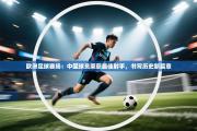 欧洲足球赛场：中国球员荣获最佳射手，书写历史新篇章