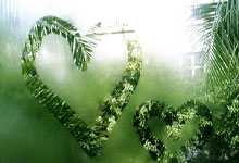 摩珂达队胜率飙升，轻松获胜