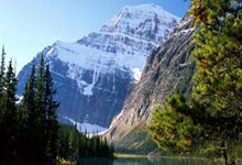 摩珂达队胜率飙升，轻松获胜