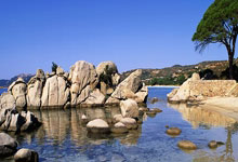 摩珂达队胜率飙升，轻松获胜