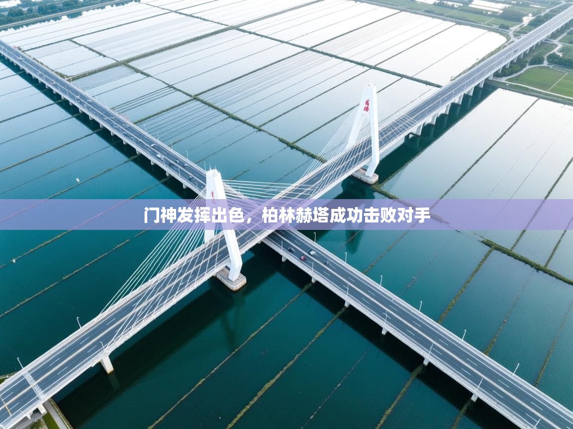 门神发挥出色，柏林赫塔成功击败对手  第1张